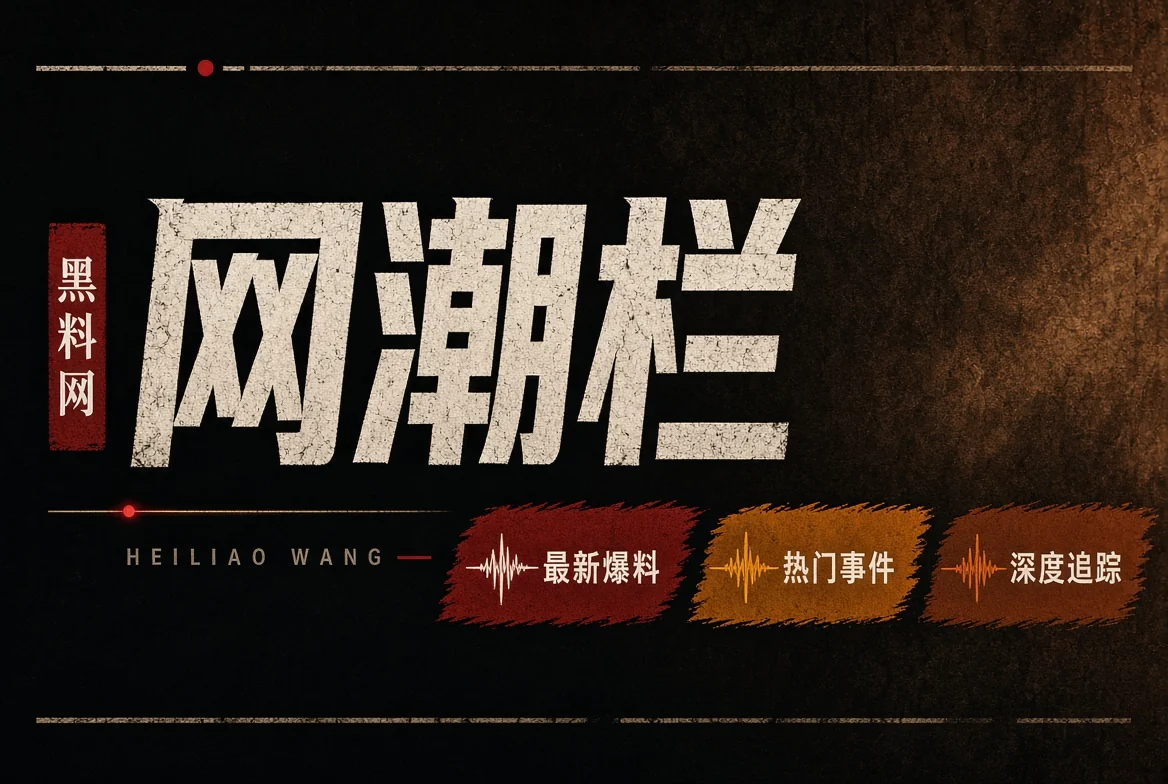 网浪栏栏目视觉